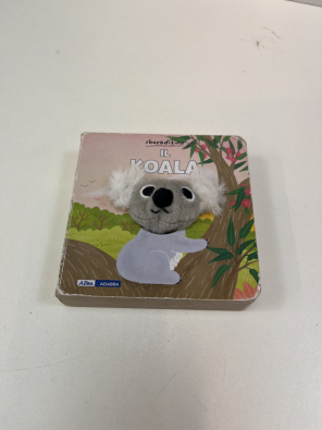 Il koala - 