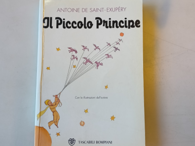 Il Piccolo Principe. Ediz. illustrata - Saint-Exupéry Antoine de