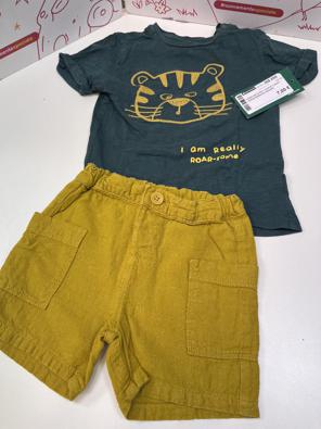Complerto Boy 12/18 M T Shirt Verde Bermuda Senape  