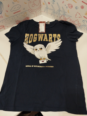 T-shirt Bimba 14 Anni Blu Scritta Oro Edvige Harry Potter  