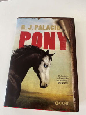 Pony   