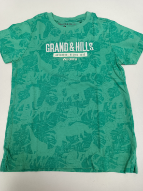 T-shirt Grand &Hills 6/7a Bimbo Cm.122 Verde Stampa Logo Bianco